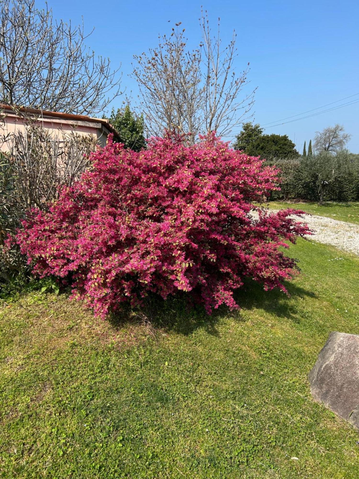 B&B Il Mio Casale Cola  Luaran gambar